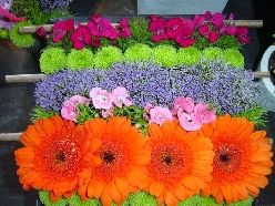 Arôme Fleurs