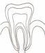 Dentiste Foulart