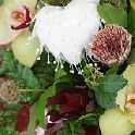 La Jardinerie