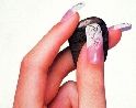 Nail Fashion