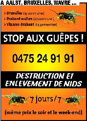 STOP AUX GUEPES !