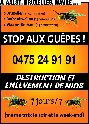 STOP AUX GUEPES !