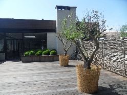 Sport Village