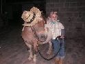 Un poney pour une fête / Een pony voor een feest
