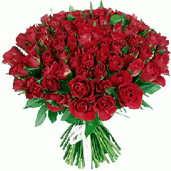 Fleurs DEBAUQUE
