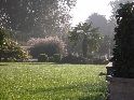 ARCHIGREEN