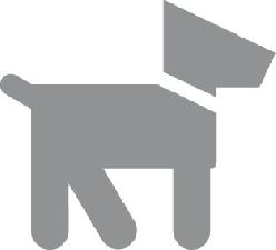 Education canine à domicile