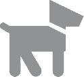 Education canine à domicile