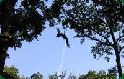 ECOPARK ADVENTURES TOURNAI