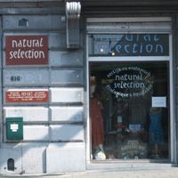 Natural Selection