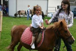 Ponyplesure