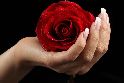 Massage relaxant, relaxation,anti-stress : Tournai