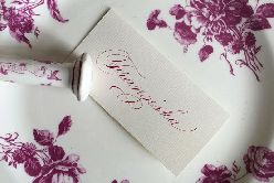 Plume & Confetti